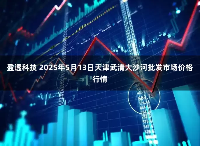 盈透科技 2025年5月13日天津武清大沙河批发市场价格行情