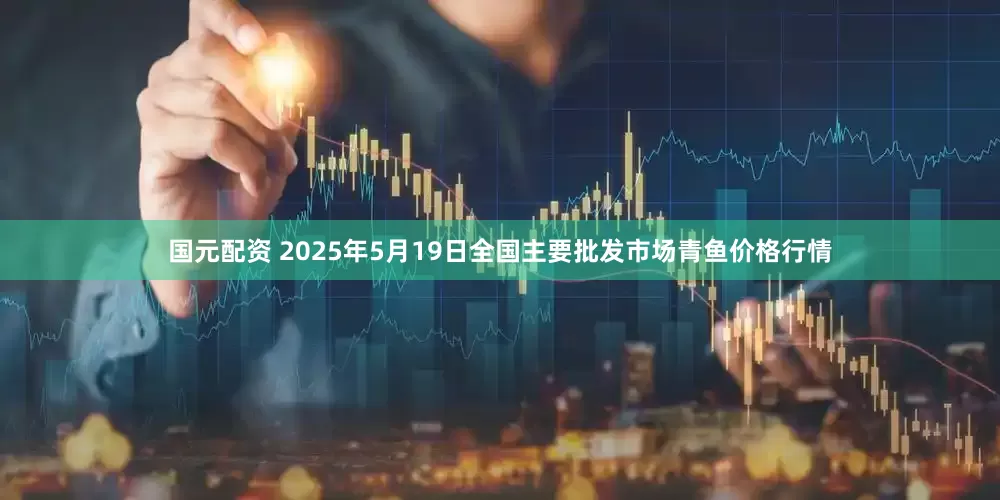 国元配资 2025年5月19日全国主要批发市场青鱼价格行情