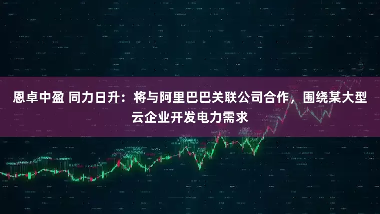 恩卓中盈 同力日升：将与阿里巴巴关联公司合作，围绕某大型云企业开发电力需求