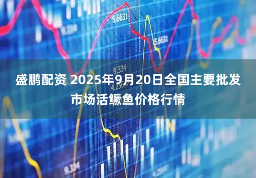 盛鹏配资 2025年9月20日全国主要批发市场活鳜鱼价格行情