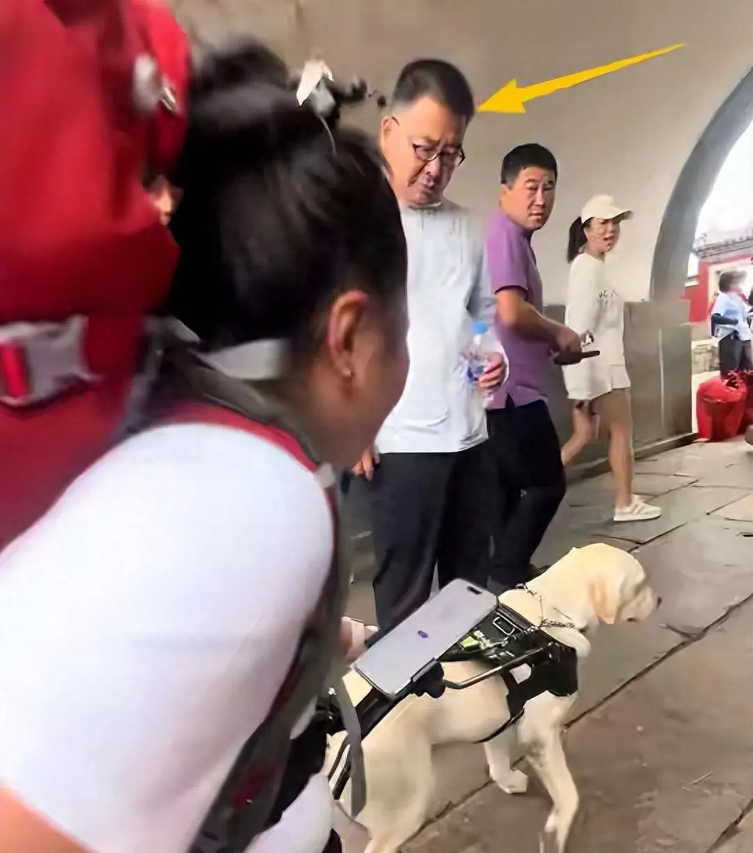 泸深投 导盲犬芬迪已被接回基地，爬泰山只是“皮毛”，专家：没权利这样